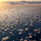 Illustration for article titled How did the Arctic ocean get covered in thousands of delicate ice flowers?